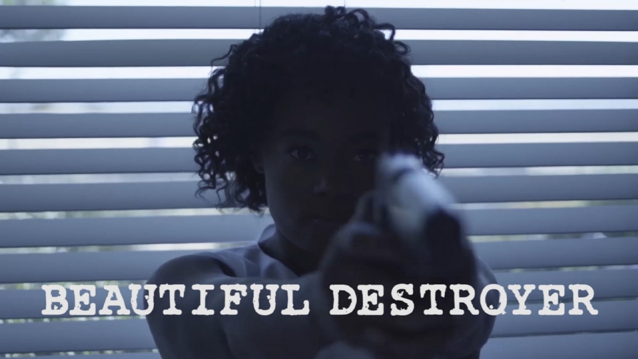Beautiful Destroyer (2016)