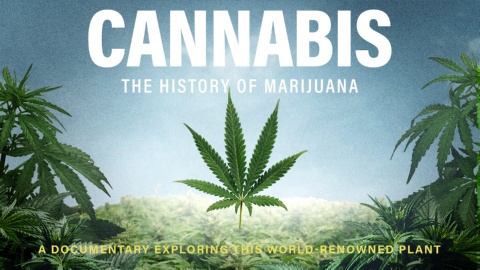 Cannabis (2020)