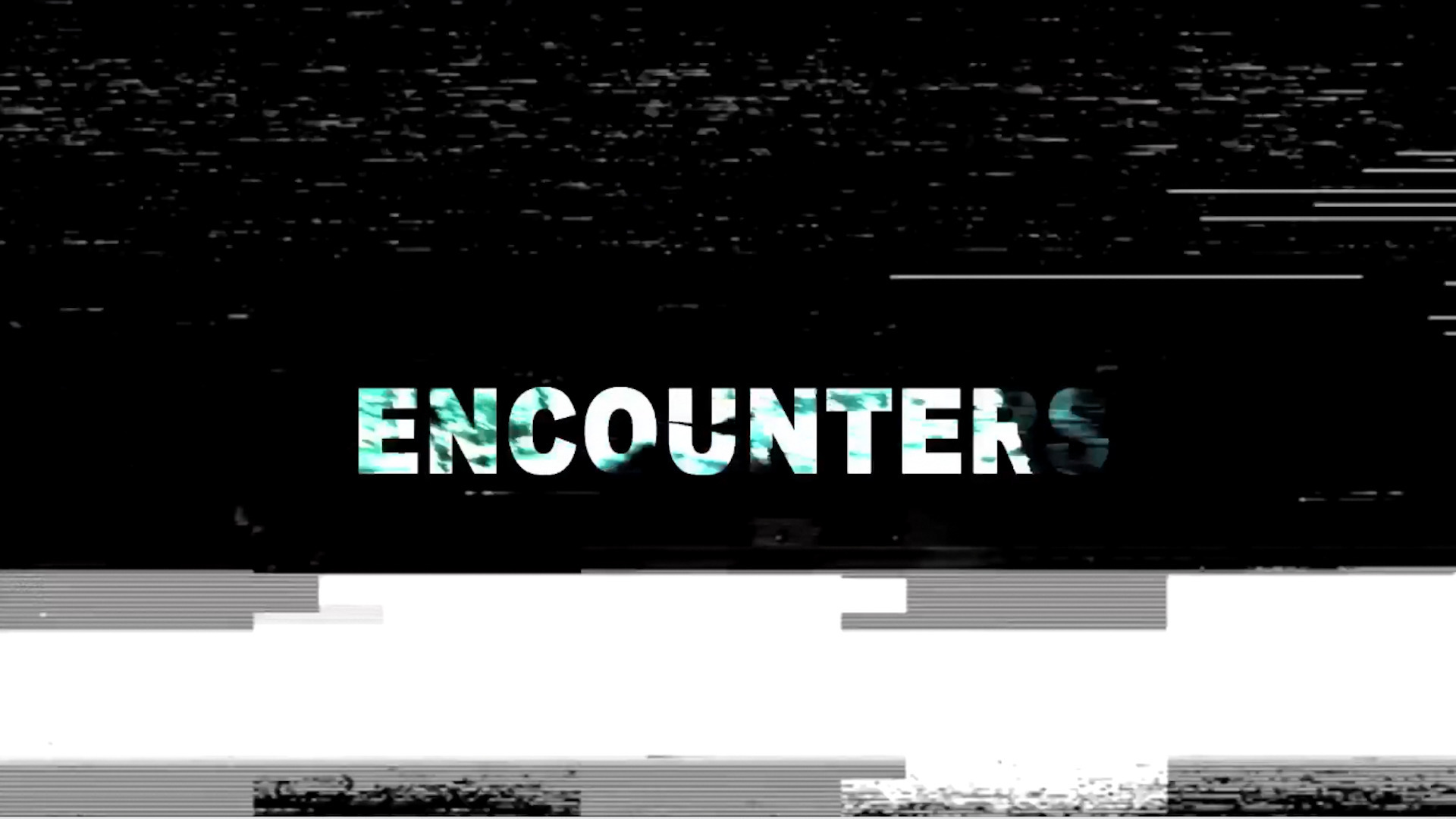 Encounters (2013)
