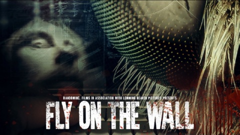 Fly on the Wall (2018)