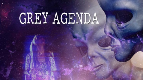 Grey Agenda (2017)