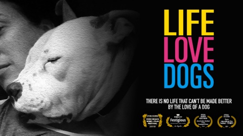 Life-Love-Dogs (2016)