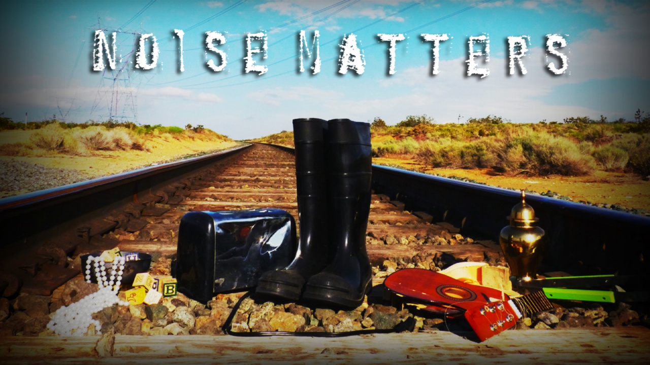 Noise Matters (2013)