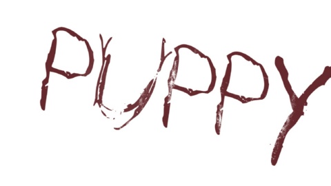 Puppy (2006)