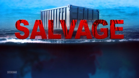 Salvage (2009)