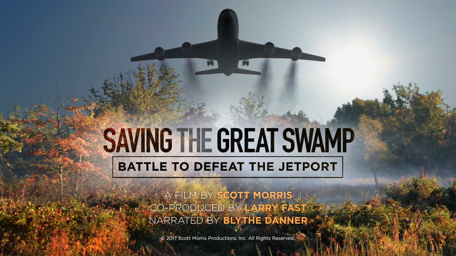 Saving The Great Swamp: Battle to Defeat the Jetport (2016)