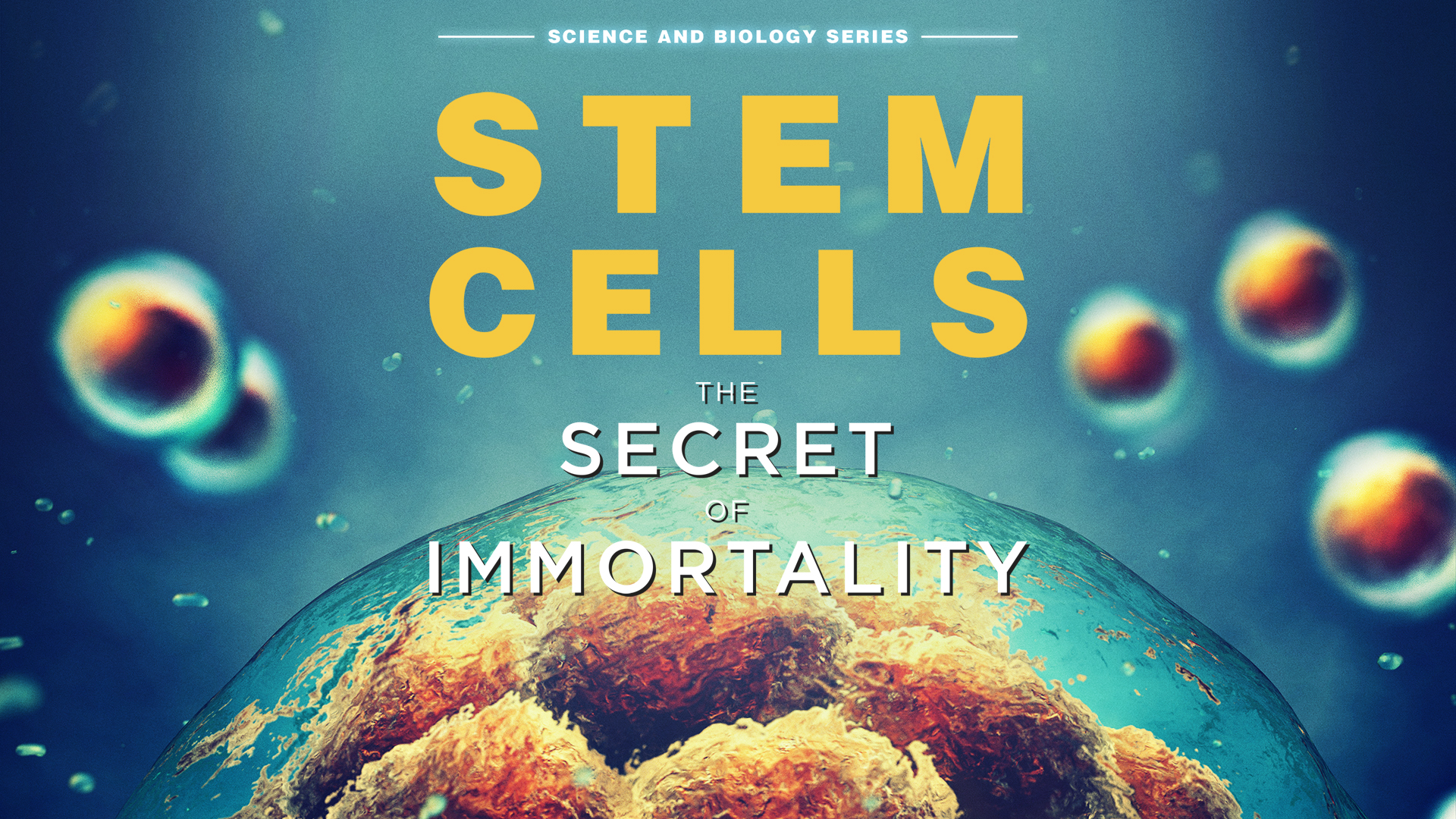 Stem Cells: The Secret To Immortality (2019)