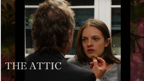 The Attic (2007)