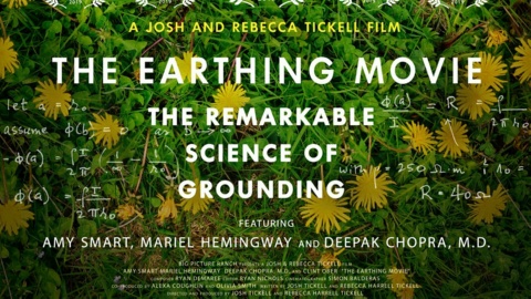 The Earthing Movie (2017)