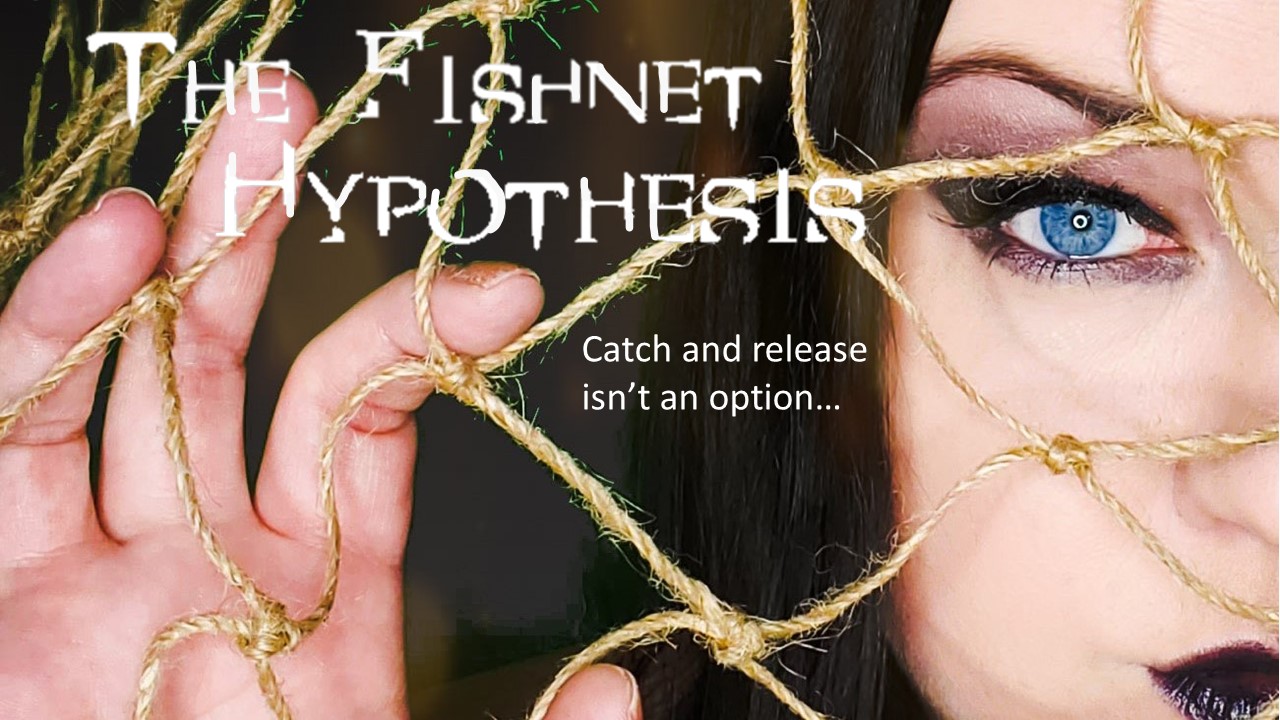 The Fishnet Hypothesis (2021)