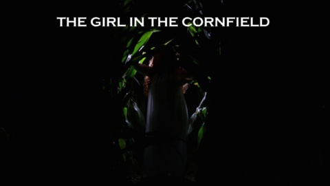 The Girl In The Cornfield (2015)