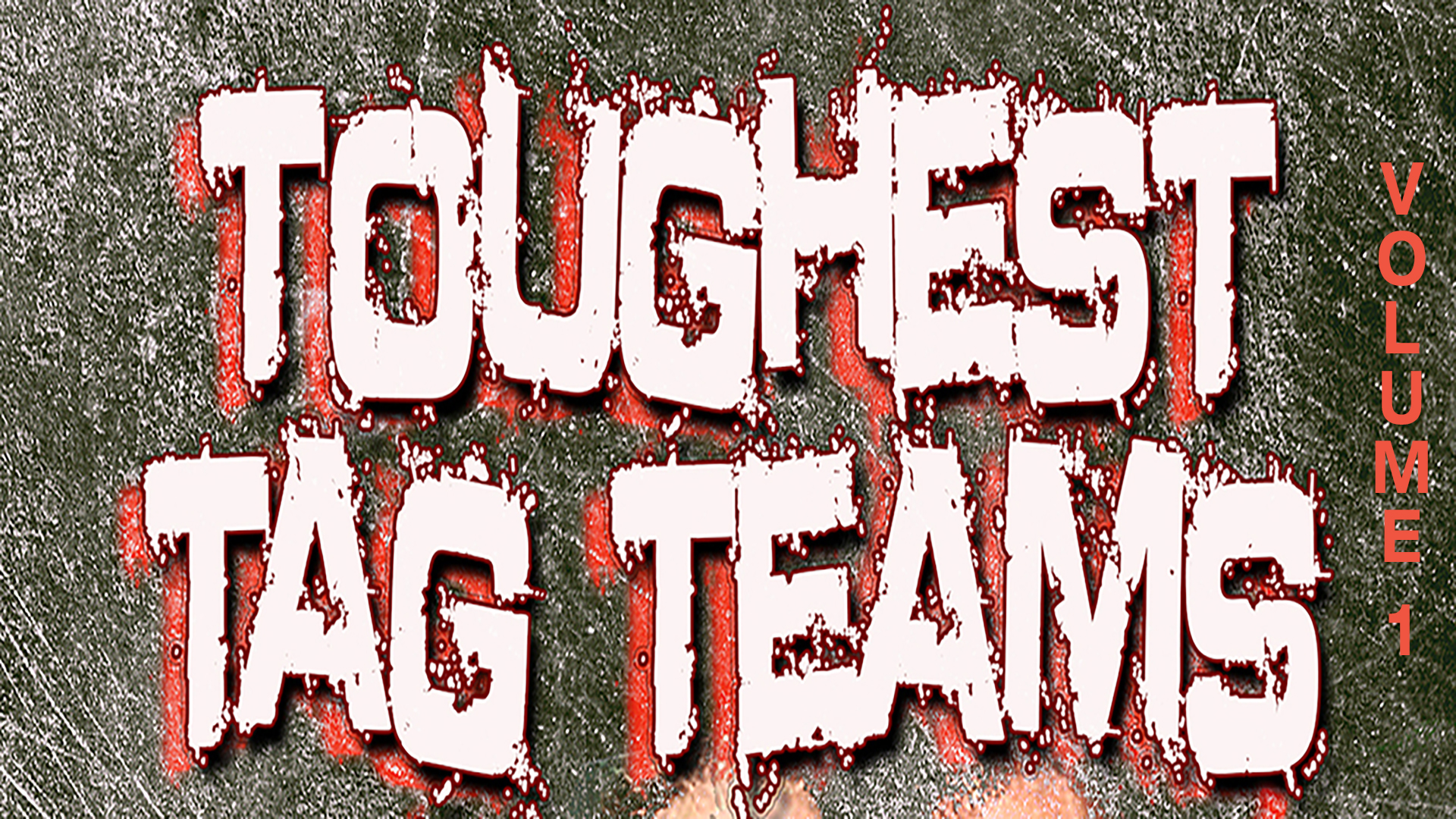 Toughest Tag Teams Vol 1: Road Warriors & Nasty Boys (2014)