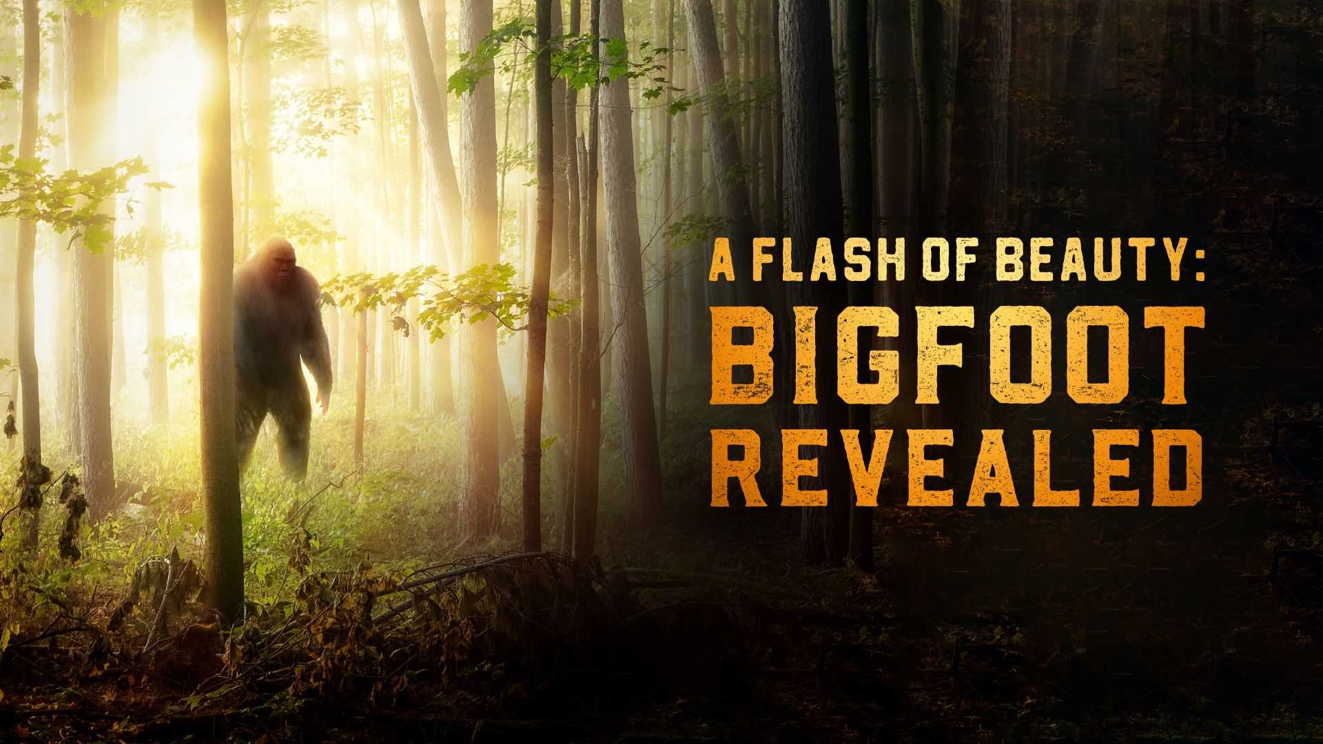A Flash of Beauty: Bigfoot Revealed (2022)