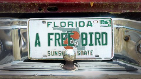 A Free Bird (2014)
