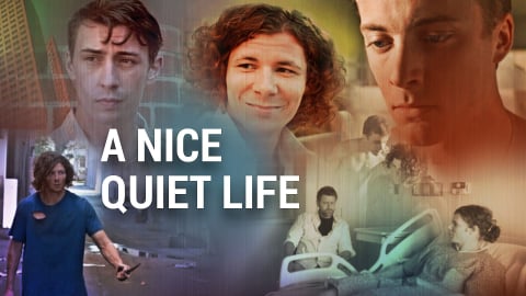 A Nice Quiet Life (2018)