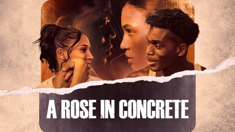A Rose in Concrete (2023)