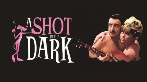 A Shot in the Dark (1964)