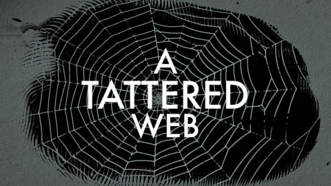 A Tattered Web (1971)