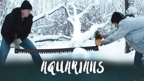 Aquarians (2017)