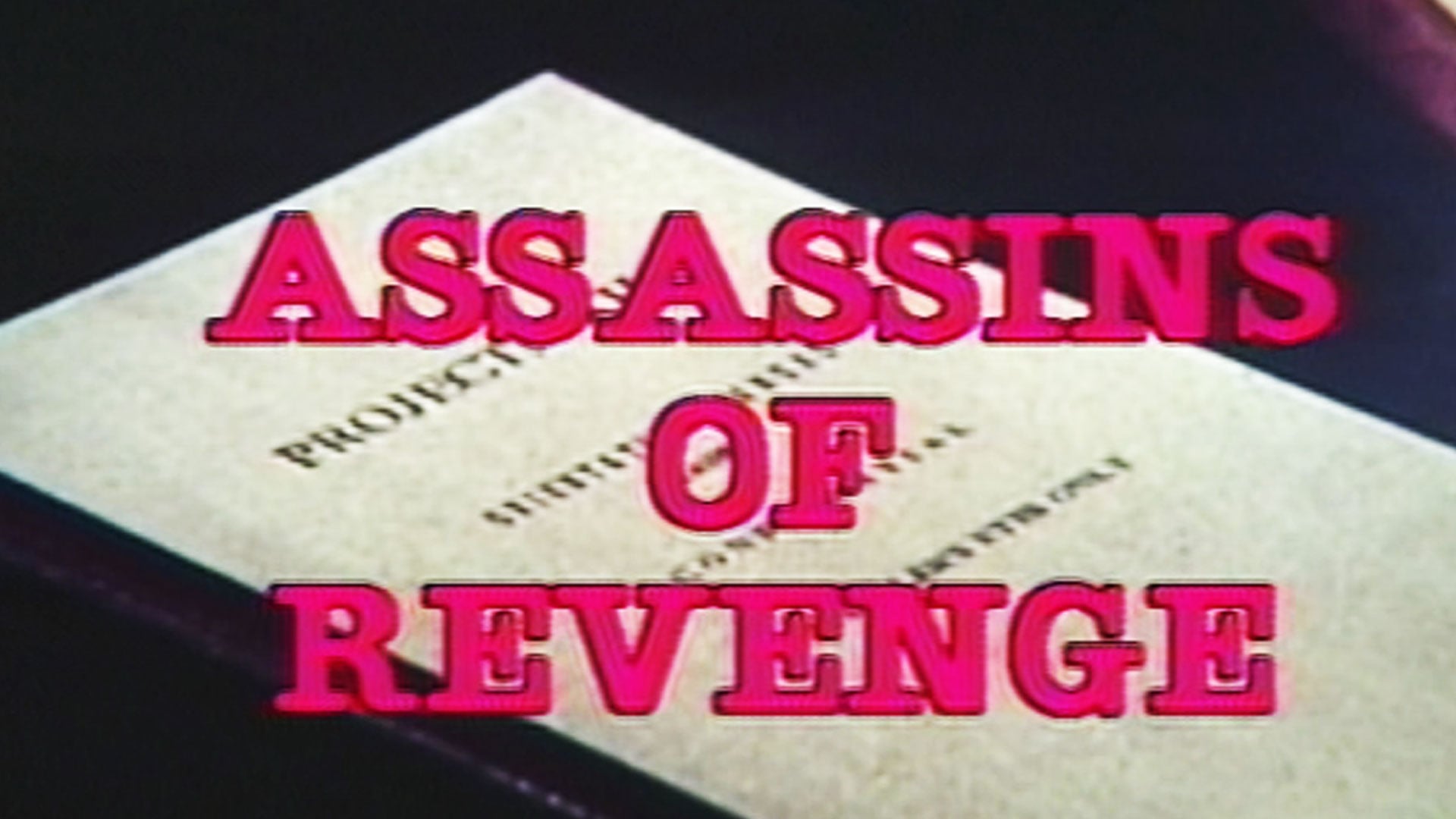 Assassins Of Revenge (1976)