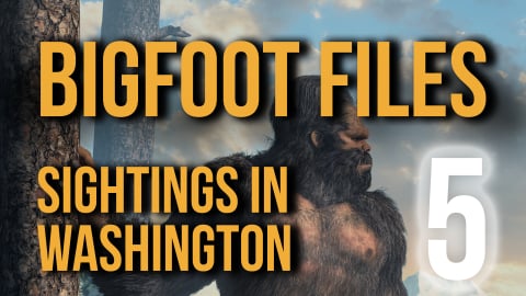 Bigfoot Files 5: Sightings in Washington State (2023)