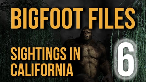 Bigfoot Files 6: Sightings in California (2023)