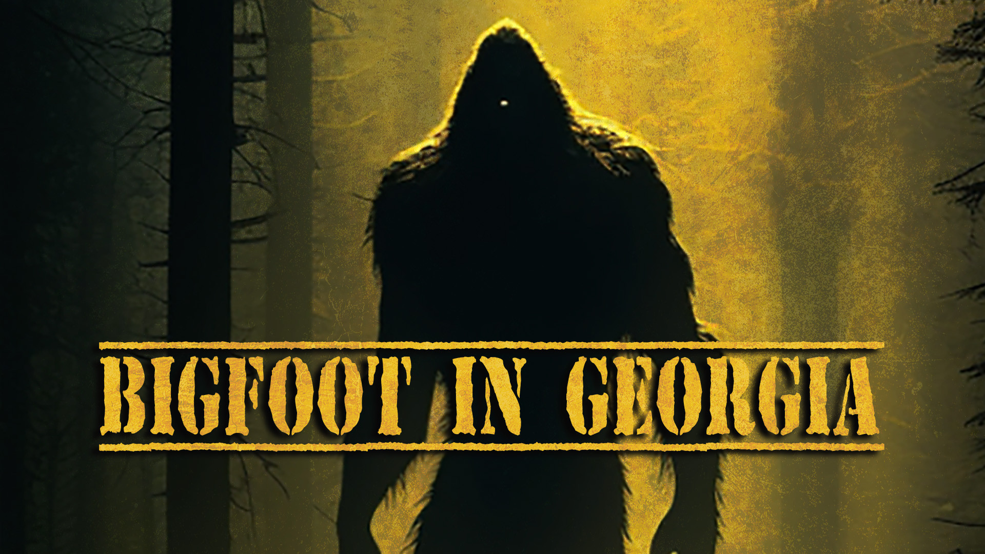 Bigfoot in Georgia (2023)