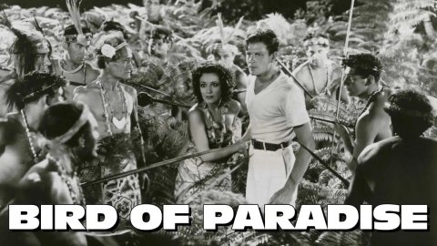 Bird of Paradise (1932)