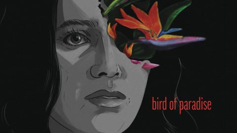 Bird of Paradise (2023)