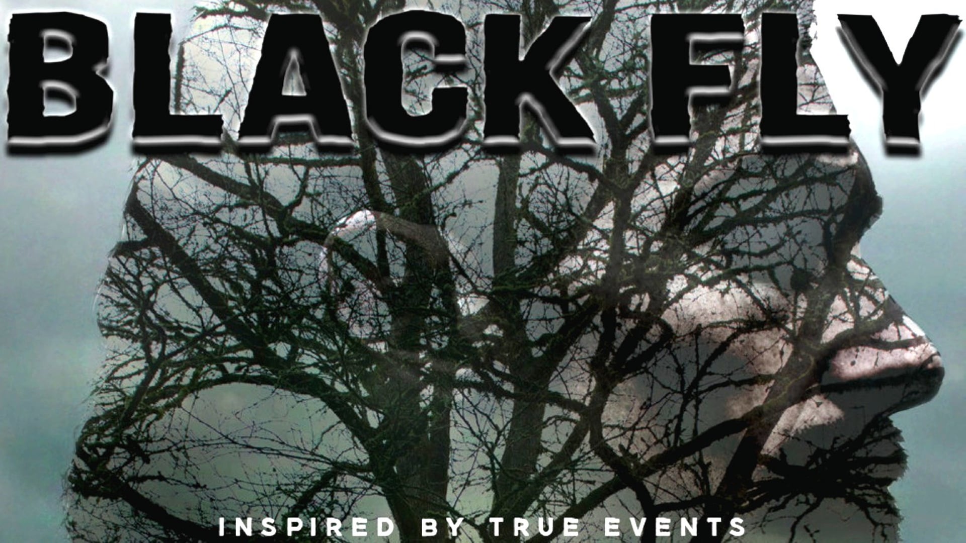Black Fly (2014)