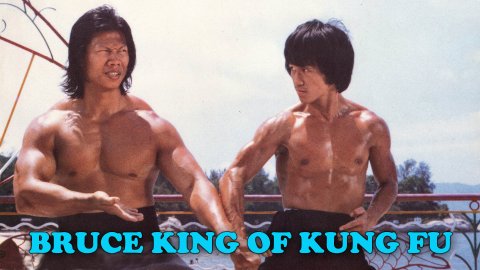 Bruce - King of Kung Fu (1980)