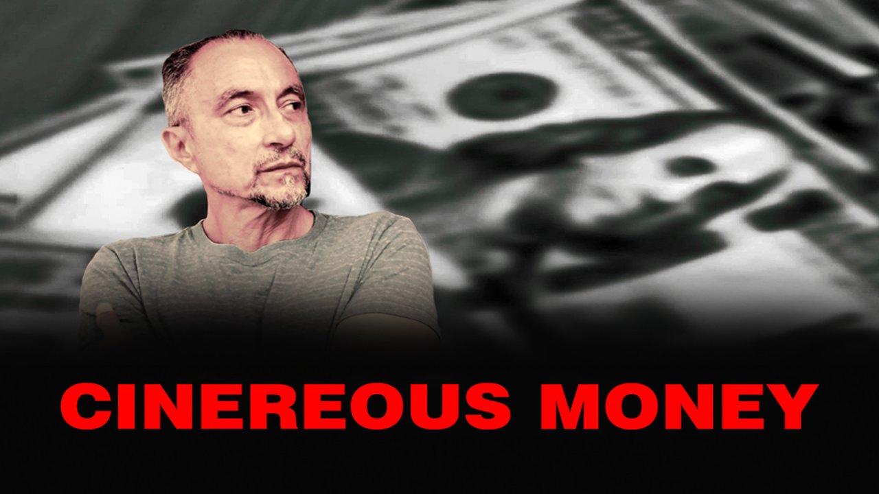 Cinereous Money (2022) image image