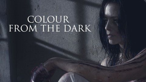 Colour from the Dark (2008)