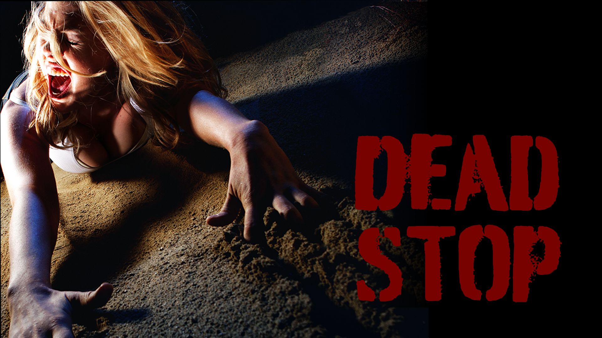 Dead Stop (2008)