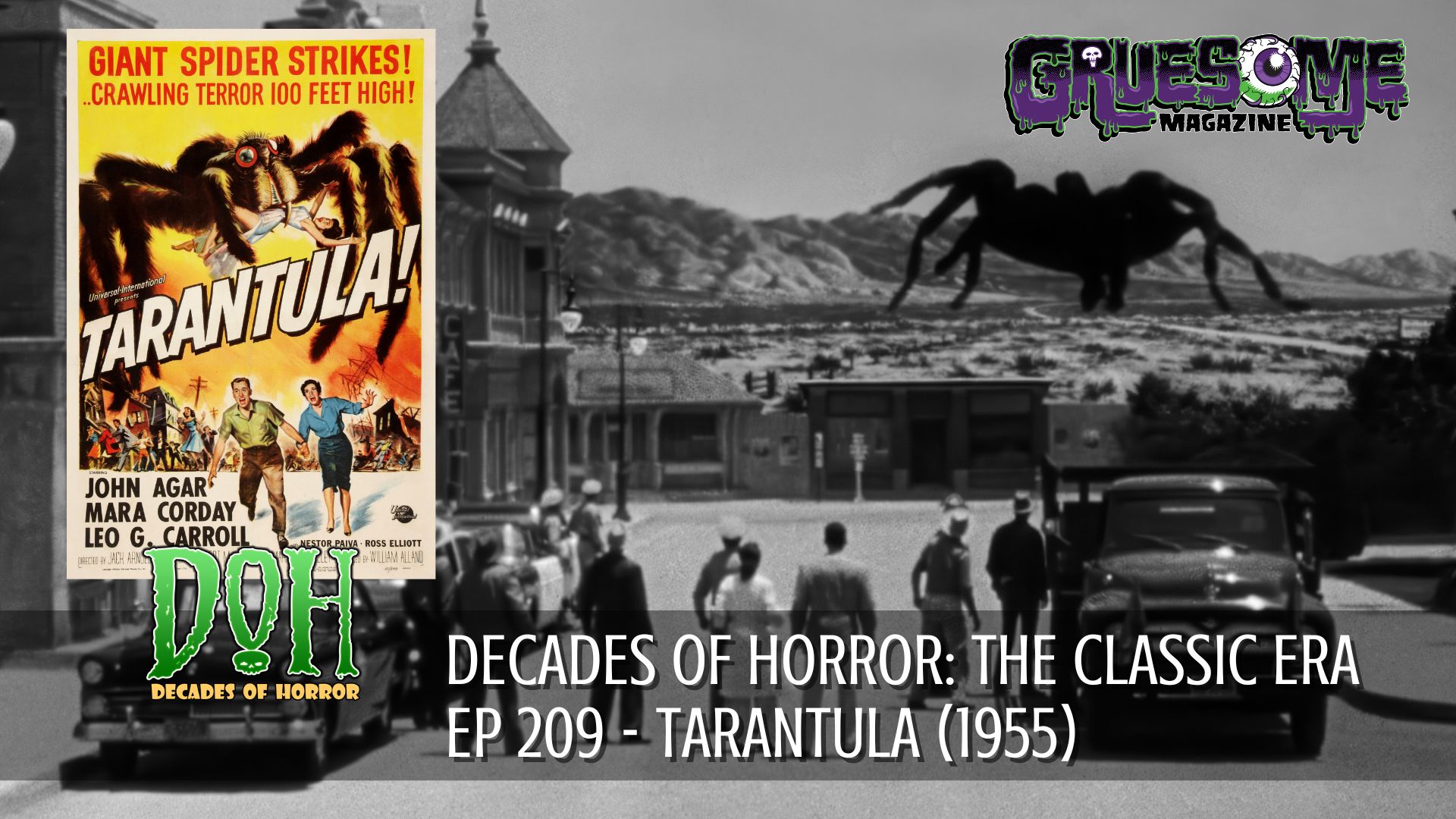 S01E209 Video review - TARANTULA