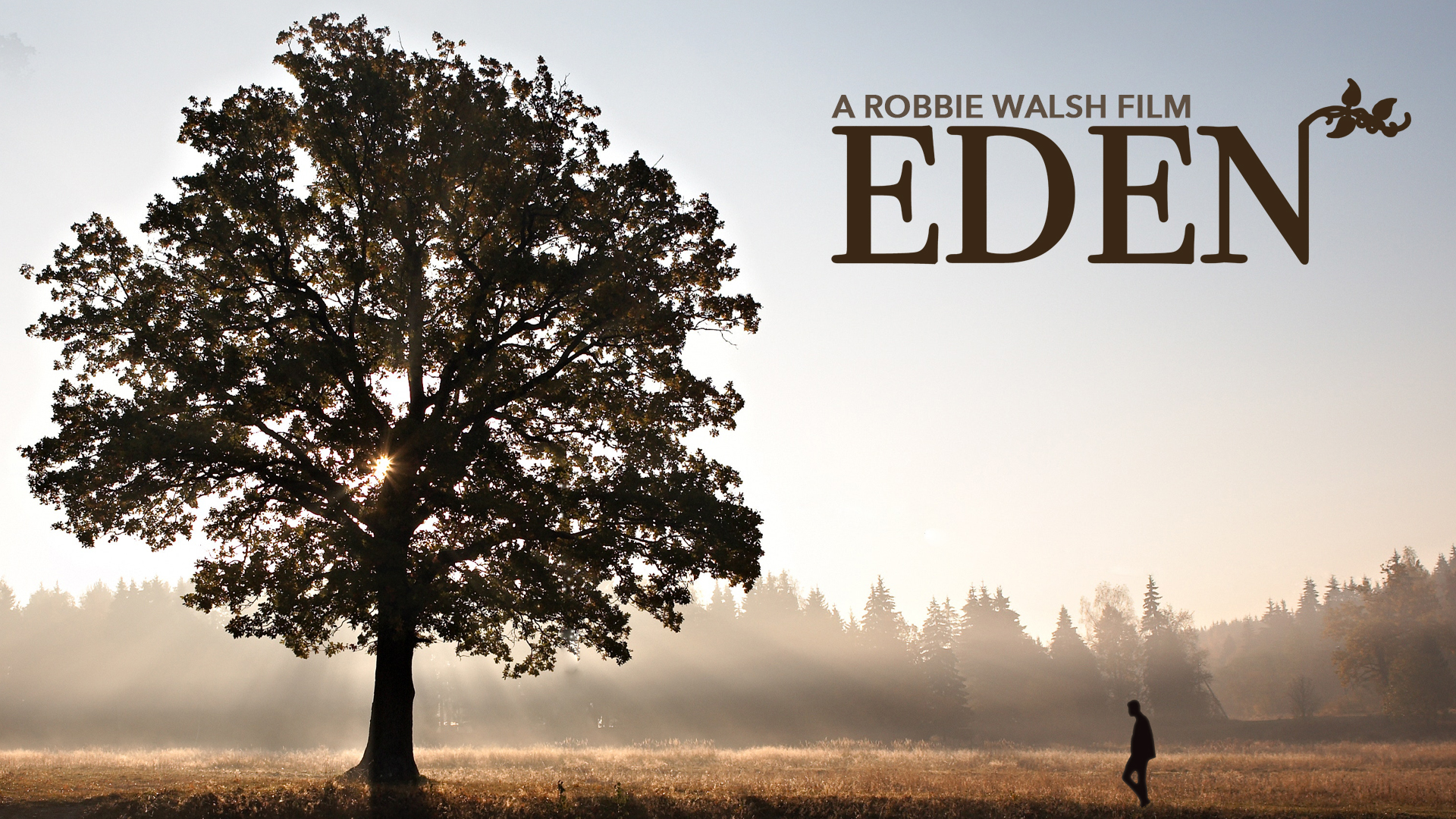 Eden (2016)