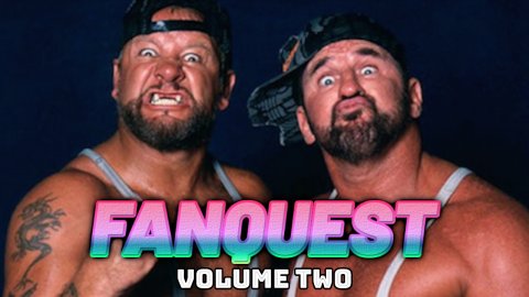 Fanquest Vol. 2 (2010)