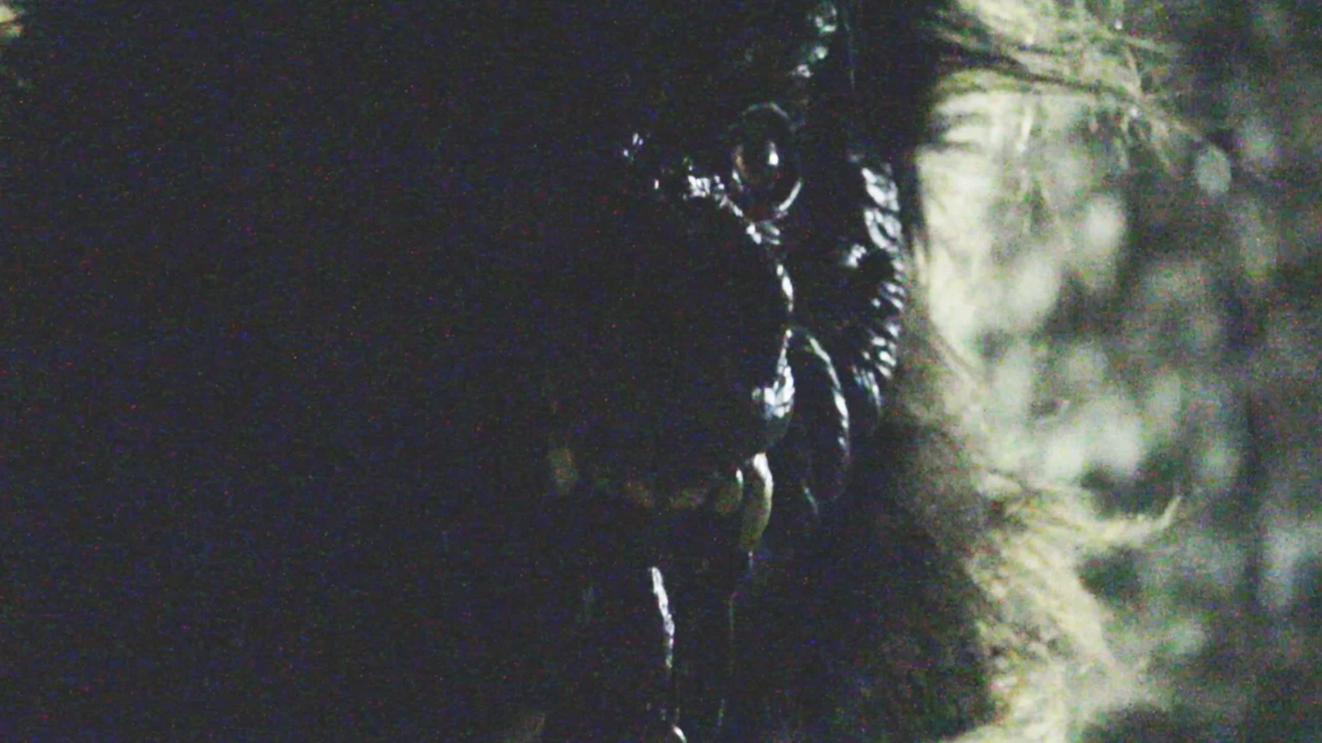 S01E03 Werewolf Caught On Tape & Terrifying Unknown Creature Attacks