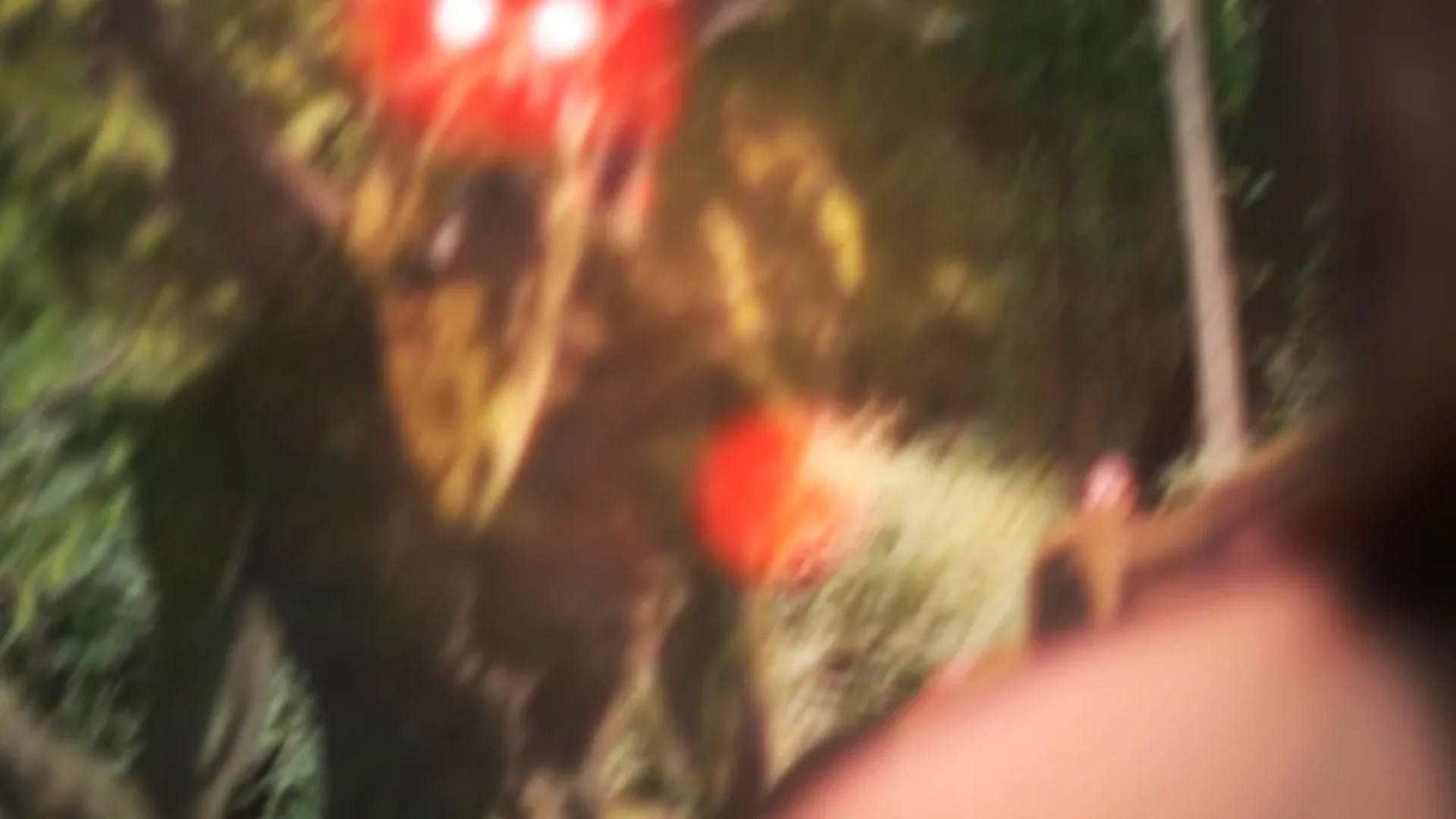 S02E25 Wendigo Caught On Tape And Deadly Confrontation With The Doppelganger