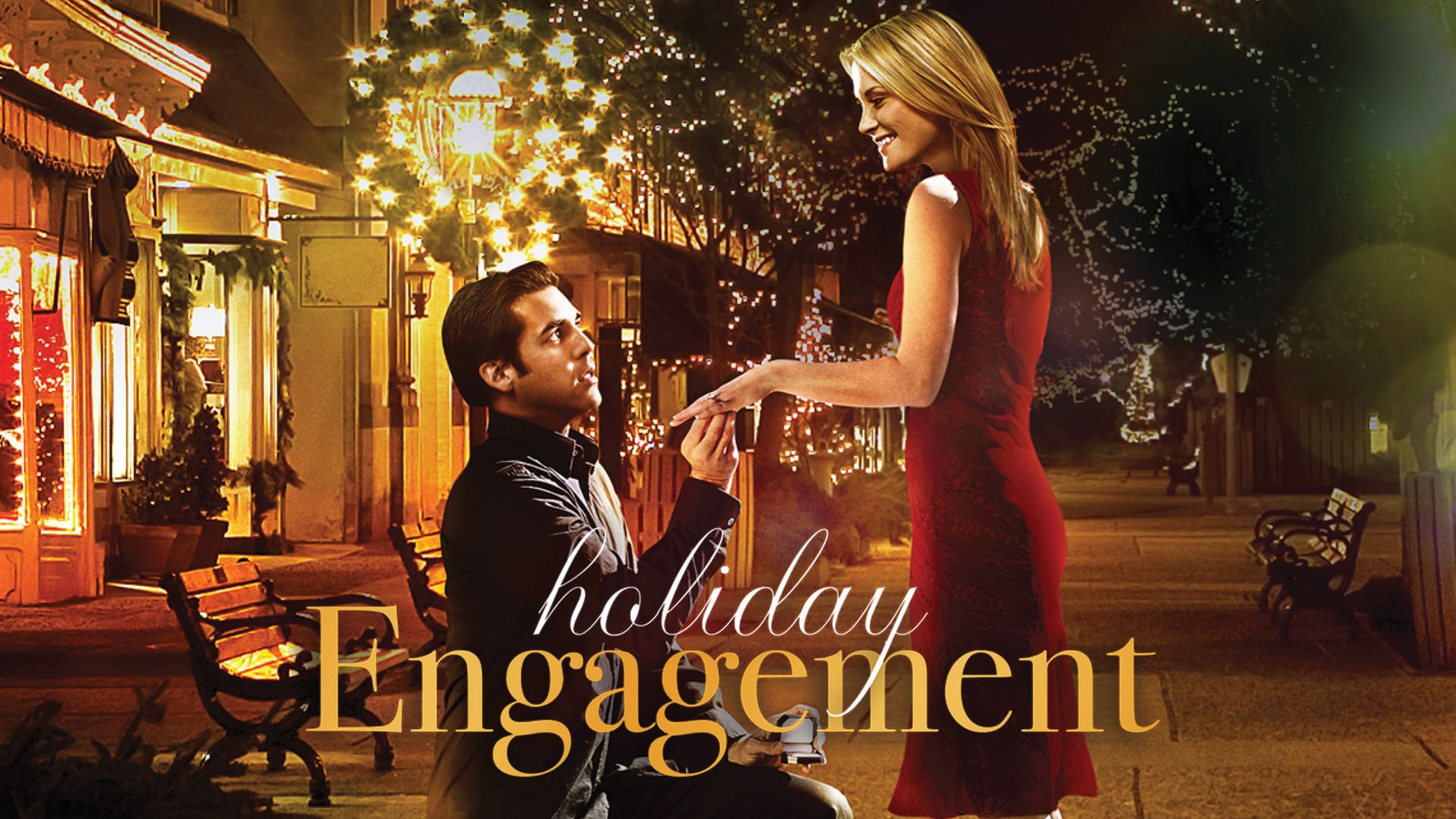 Holiday Engagement (2023)