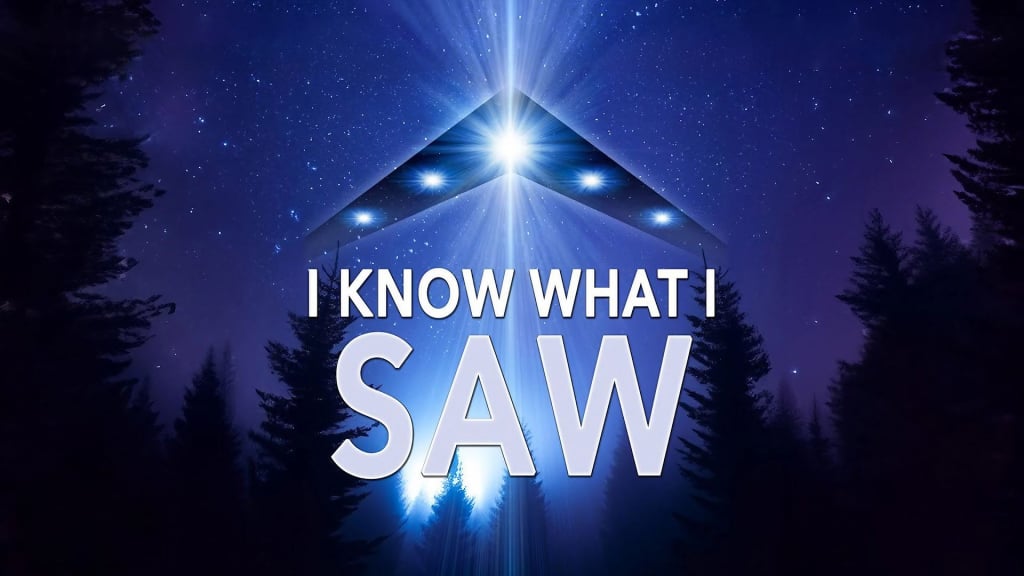 I Know What I Saw (2009)