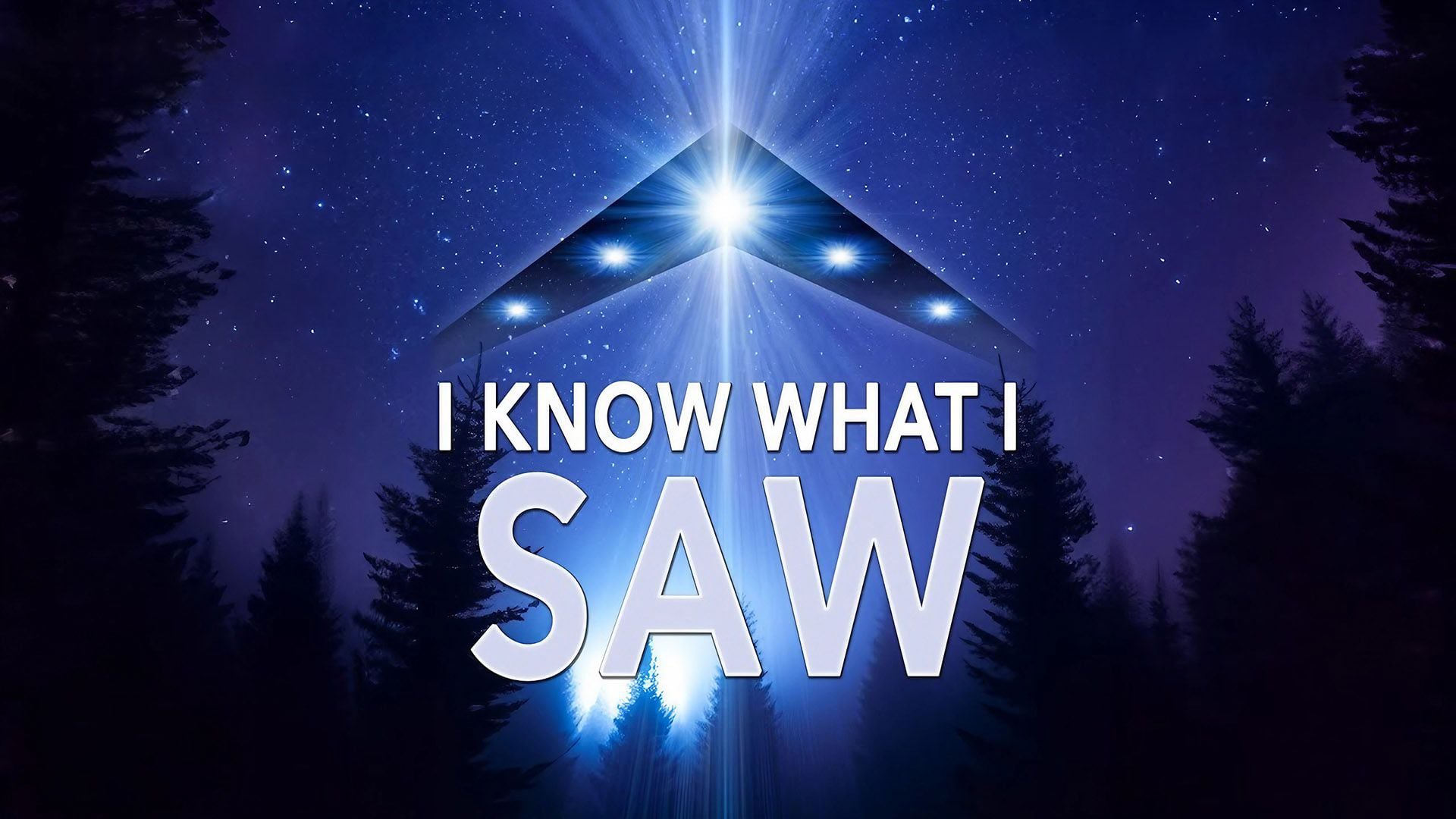 I Know What I Saw (2009)