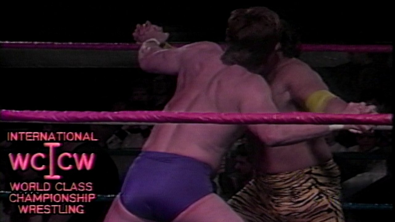 S93E08 IWCCW TV 93-08