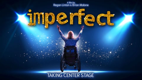 Imperfect (2024)