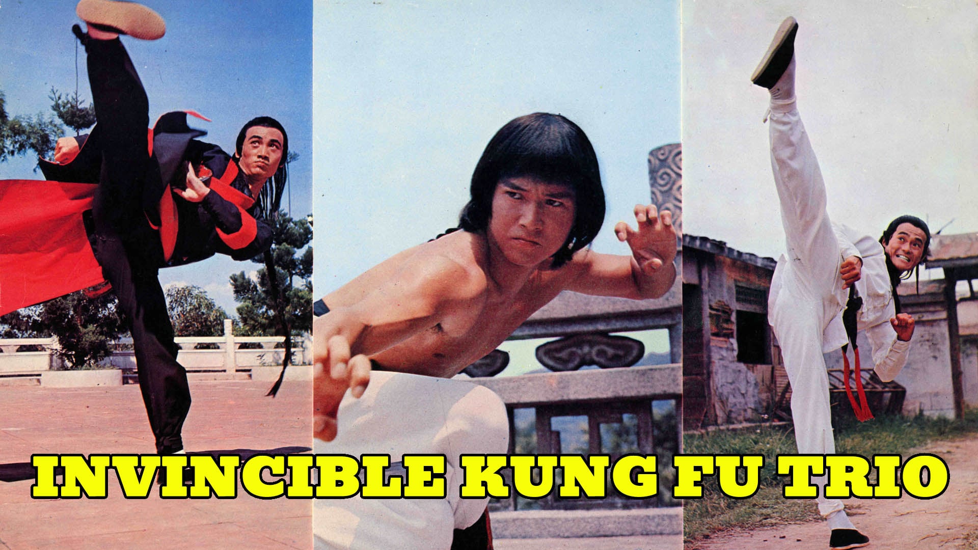 Invincible Kung Fu Trio (1977)