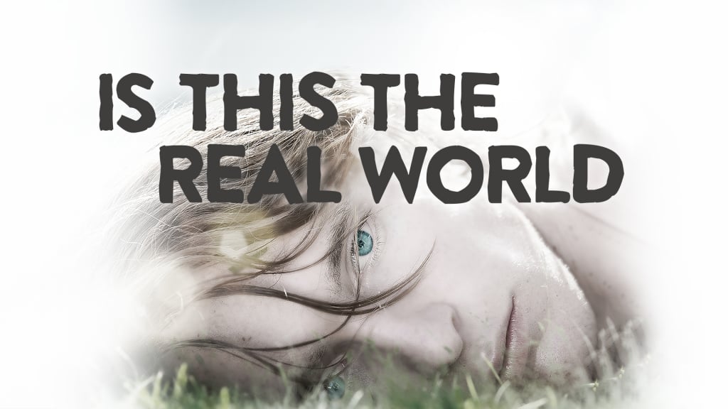Is This the Real World (2016)