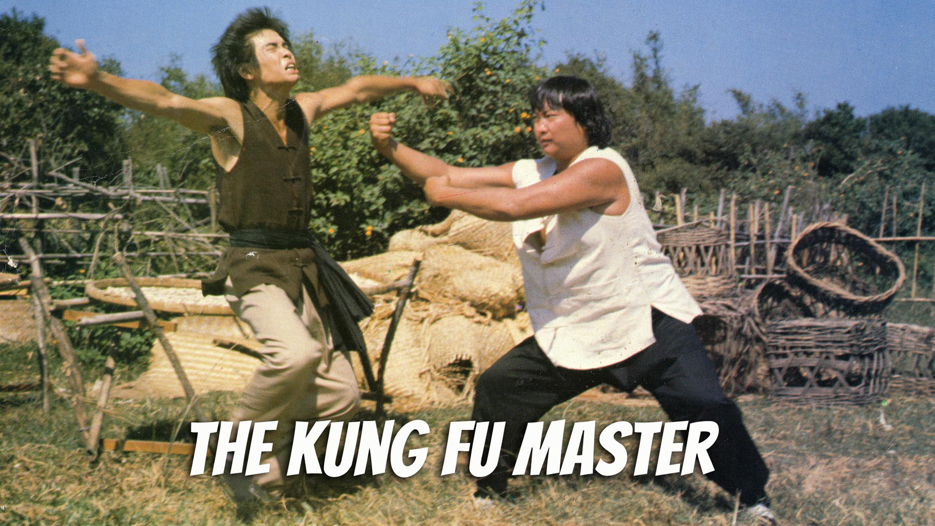 Kung Fu Master, The (1979)