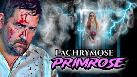 Lachrymose Primrose (2024)