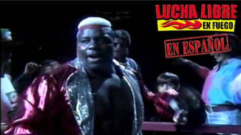 Lucha Libre En Fuego #80 (2010)