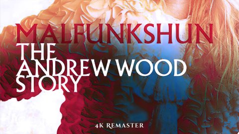 Malfunkshun: The Andrew Wood Story (2005)